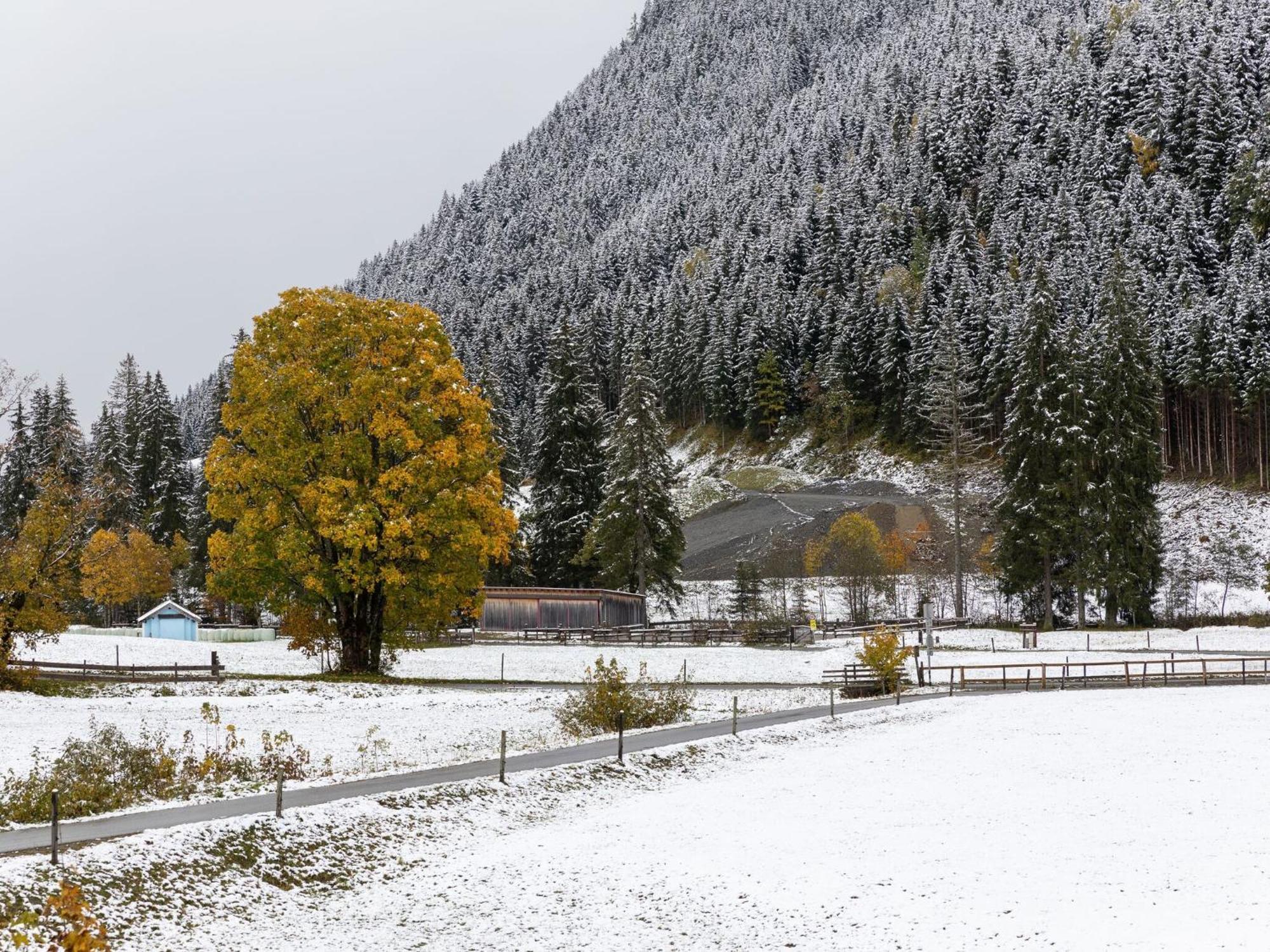 Chalet Apartment In Saalbach Hinterglemm Exterior foto